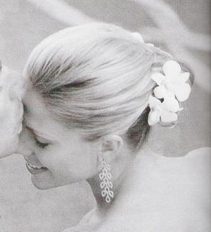 ????????? ???????? 517