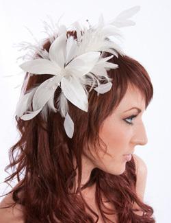 ????????? ???????? 2203