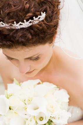 ????????? ???????? 3169
