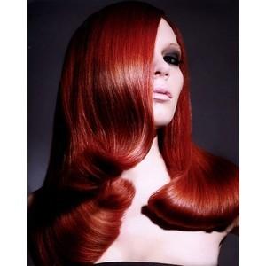 ????????? ???????? 4592