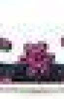 ????????? ???????? 4262