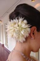 ????????? ???????? 4969